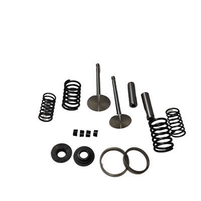 Valve,Guide, Seat, Retainer, Spring, Locker Kit(16 PC Set) For Changchai Or Similar ZS1110 1115 ZS1110 S1115 Single Cylinder Water Cool Diesel Engine