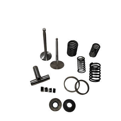 Valve,Guide, Seat, Retainer, Spring, Locker Kit(16 PC Set) For Changchai Or Similar ZS1110 1115 ZS1110 S1115 Single Cylinder Water Cool Diesel Engine