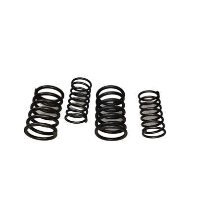 Valve Springs Set (Inner and Outer) For Changchai Changfa Or Similar ZS1110 1115 S1110 S1115 Single Cylinder Water Cool Diesel Engine