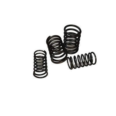 Valve Springs Set (Inner and Outer) For Changchai Changfa Or Similar ZS1110 1115 S1110 S1115 Single Cylinder Water Cool Diesel Engine