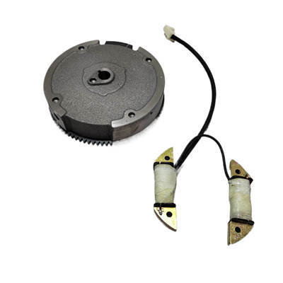 Electric Flywheel And 35W Lighting Coil Kit Fits For Predator Craftsman Duromax Wen Westinghouse GX160 GX200 196CC 212CC  Gasoline Engine