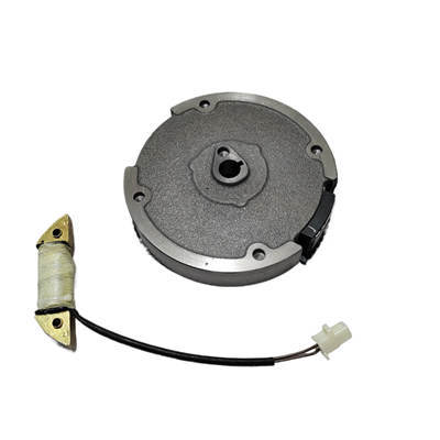 Electric Flywheel And 15W Lighting Coil Kit Fits For Predator Craftsman Duromax Wen Westinghouse GX169 GX200 196CC 212CC  Gasoline Engine