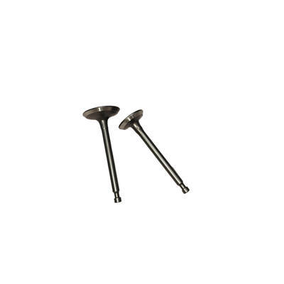 Intake and Exhaust Valves Kit Fits For Scheppach 80CC ISE2500 SG2500I 2KW Portable Inverter Generator