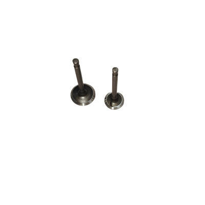 Intake and Exhaust Valves Kit Fits For Scheppach 80CC ISE2500 SG2500I 2KW Portable Inverter Generator