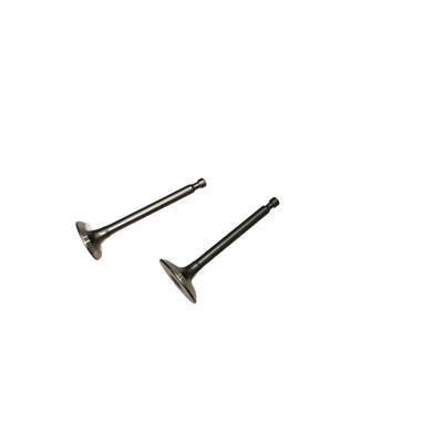 Intake and Exhaust Valves Kit Fits For Scheppach 80CC ISE2500 SG2500I 2KW Portable Inverter Generator