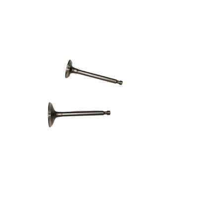 Intake and Exhaust Valves Kit Fits For Scheppach 80CC ISE2500 SG2500I 2KW Portable Inverter Generator