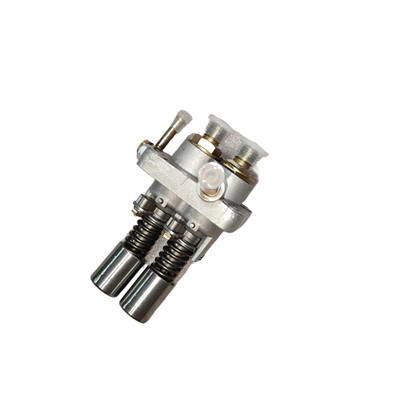 Fuel Injection Pump, Pumper For Changchai EV80 KM2V80 2V80 794CC V-Twin Cylinder 4 Stroke Water Cool Diesel Engine