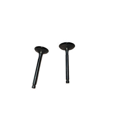 DLC Coated Intake and Exhaust Valves Kit For Shredder 18CC/22CC Dome Cylinder Head Applied For Super Performance 212CC 225 250 263 Race Engine