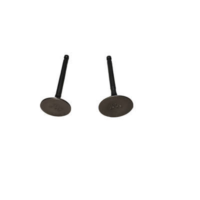 Intake and Exhaust Valves Kit Fits For Loncin G250 252CC Horizontal Gasoline Engine