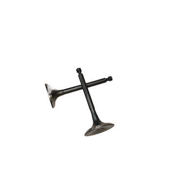 Intake and Exhaust Valves Kit Fits For Loncin G250 252CC Horizontal Gasoline Engine