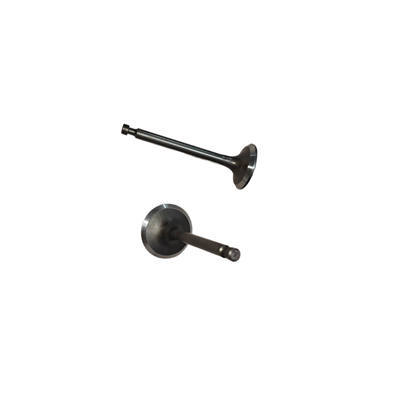 Intake and Exhaust Valves Kit Fits For Loncin G250 252CC Horizontal Gasoline Engine