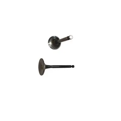 Intake and Exhaust Valves Kit Fits For Loncin G250 252CC Horizontal Gasoline Engine