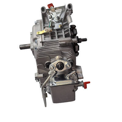 Blackbones, Electric Model Crankcase Assembly With All Internals Installed For 196CC Small Air Cool Horizontal Shaft Diesel Engine