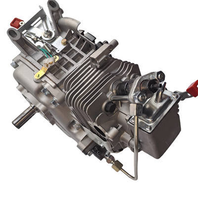 Blackbones, Electric Model Crankcase Assembly With All Internals Installed For 196CC Small Air Cool Horizontal Shaft Diesel Engine