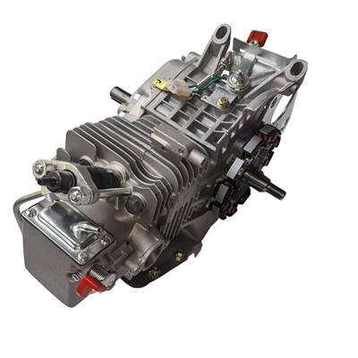 Blackbones, Electric Model Crankcase Assembly With All Internals Installed For 196CC Small Air Cool Horizontal Shaft Diesel Engine