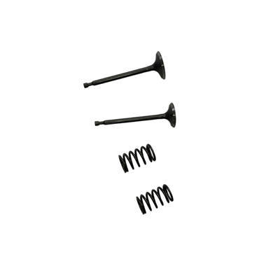 Valves and Springs Kit For Predator 301CC Horizontal Shaft Gasoline Engine