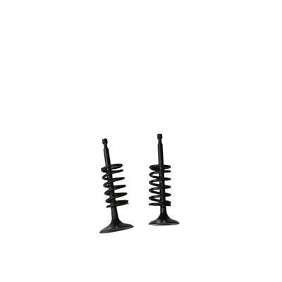 Valves and Springs Kit For Predator 301CC Horizontal Shaft Gasoline Engine