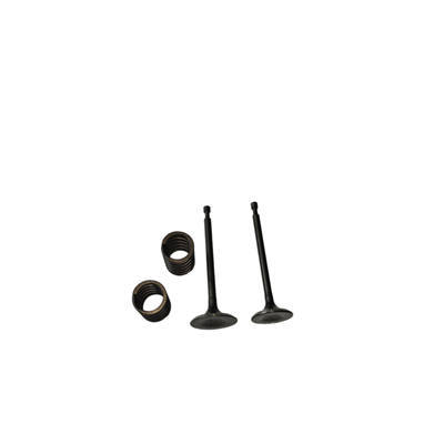 Valves and Springs Kit For Predator 301CC Horizontal Shaft Gasoline Engine