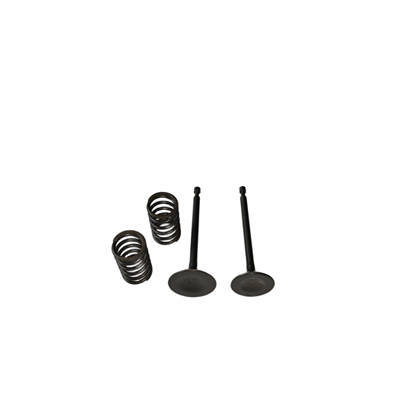 Valves and Springs Kit For Predator 301CC Horizontal Shaft Gasoline Engine