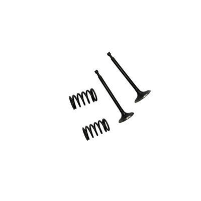 Valves and Springs Kit For Predator 301CC Horizontal Shaft Gasoline Engine