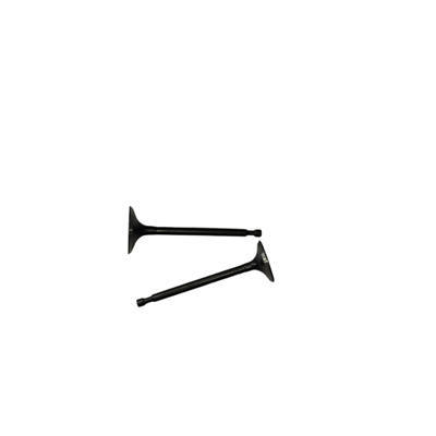 Intake/Exhaust Valves Kit For Predator 301CC Horizontal Shaft Gasoline Engine