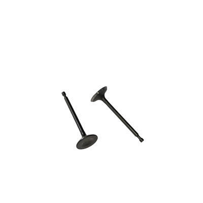 Intake/Exhaust Valves Kit For Predator 301CC Horizontal Shaft Gasoline Engine