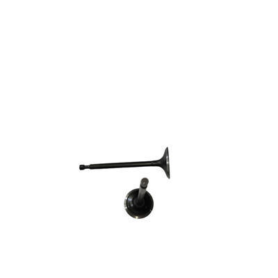 Intake/Exhaust Valves Kit For Predator 301CC Horizontal Shaft Gasoline Engine
