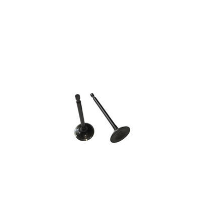 Intake/Exhaust Valves Kit For Predator 301CC Horizontal Shaft Gasoline Engine