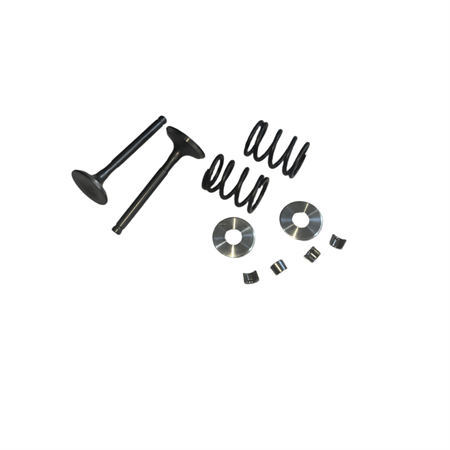 Billet Aluminum Retainers Kit with 26LBS Springs Set and 25/27 5.5mm Stem Valves Kit  Fits 212 240CC 263cc Performance High Speed Kart/Minibike Engine