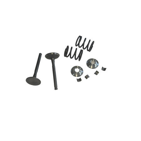Billet Aluminum Retainers Kit with 26LBS Springs Set and 25/27 5.5mm Stem Valves Kit  Fits 212 240CC 263cc Performance High Speed Kart/Minibike Engine