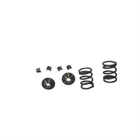 Titanium Retainers Kit with 26LBS Springs Set Fits 212 240CC 263CC Performance High Speed Kart/Minibike Engine