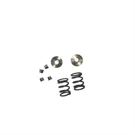 Titanium Retainers Kit with 26LBS Springs Set Fits 212 240CC 263CC Performance High Speed Kart/Minibike Engine