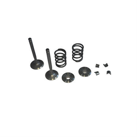 5.5mm 25/27 Valves Kit With Titanium Retainers 26LBS Springs Set Fits 212 240CC 263CC Performance High Speed Kart/Minibike Engine