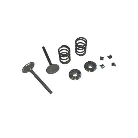 5.5mm 25/27 Valves Kit With Titanium Retainers 26LBS Springs Set Fits 212 240CC 263CC Performance High Speed Kart/Minibike Engine