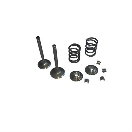 5.5mm 25/27 Valves Kit With Titanium Retainers 26LBS Springs Set Fits 212 240CC 263CC Performance High Speed Kart/Minibike Engine