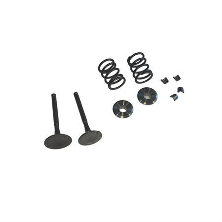 5.5mm 25/27 Valves Kit With Titanium Retainers 26LBS Springs Set Fits 212 240CC 263CC Performance High Speed Kart/Minibike Engine