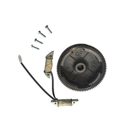 Electric Flywheel and Lighting Coil Kit Fits For Non-Hemi Predator Craftsman Duromax Wen GX160 GX200 196CC 212CC Clone Gasoline Engine
