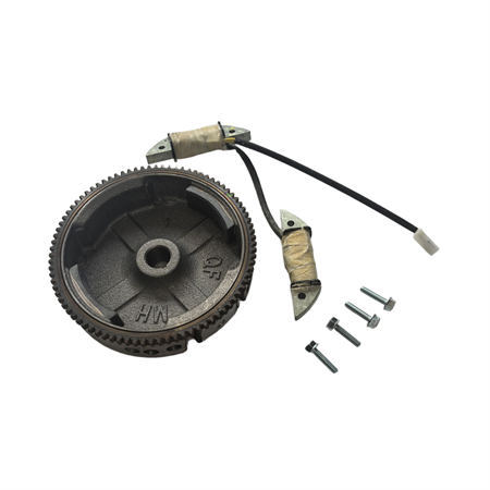Electric Flywheel and Lighting Coil Kit Fits For Non-Hemi Predator Craftsman Duromax Wen GX160 GX200 196CC 212CC Clone Gasoline Engine