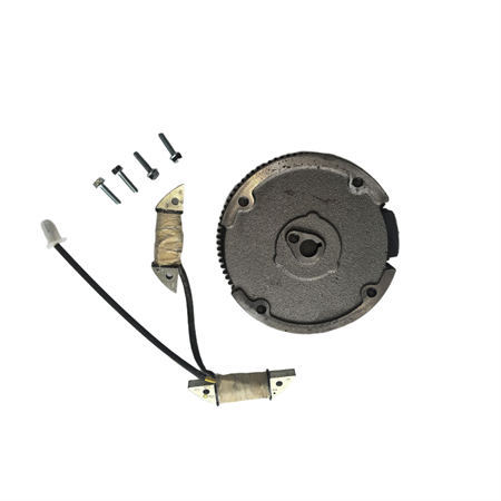 Electric Flywheel and Lighting Coil Kit Fits For Non-Hemi Predator Craftsman Duromax Wen GX160 GX200 196CC 212CC Clone Gasoline Engine