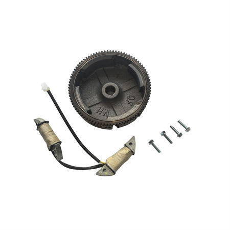 Electric Flywheel and Lighting Coil Kit Fits For Non-Hemi Predator Craftsman Duromax Wen GX160 GX200 196CC 212CC Clone Gasoline Engine