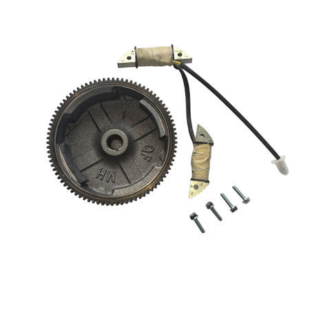 Electric Flywheel and Lighting Coil Kit Fits For Non-Hemi Predator Craftsman Duromax Wen GX160 GX200 196CC 212CC Clone Gasoline Engine
