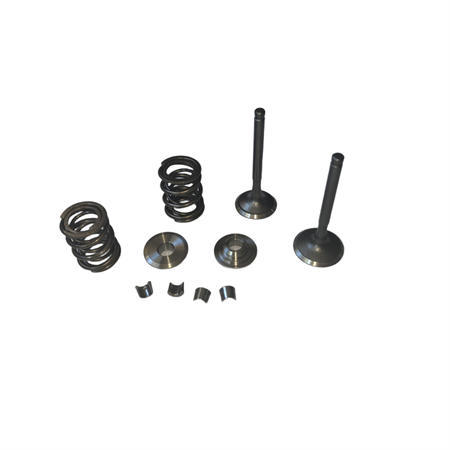 Titanium Retainers Kit with 960 Dual Valve Springs Set and 25/27 5.5mm Stem Valves Set  Fits 212 240CC 263cc Performance High Speed Kart/Minibike Engine
