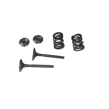 Titanium Retainers Kit with 960 Dual Valve Springs Set and 25/27 5.5mm Stem Valves Set  Fits 212 240CC 263cc Performance High Speed Kart/Minibike Engine
