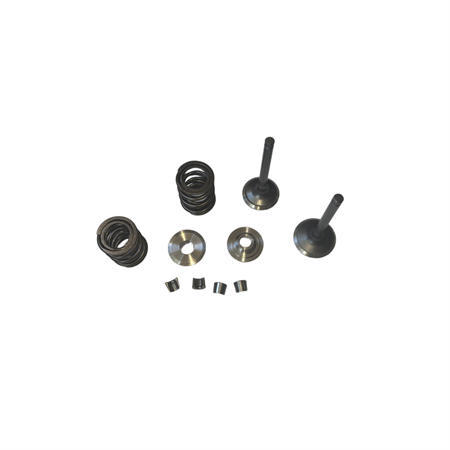 Titanium Retainers Kit with 960 Dual Valve Springs Set and 25/27 5.5mm Stem Valves Set  Fits 212 240CC 263cc Performance High Speed Kart/Minibike Engine