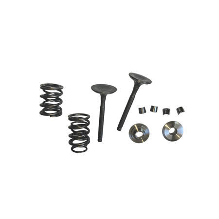 Titanium Retainers Kit with 960 Dual Valve Springs Set and 25/27 5.5mm Stem Valves Set  Fits 212 240CC 263cc Performance High Speed Kart/Minibike Engine