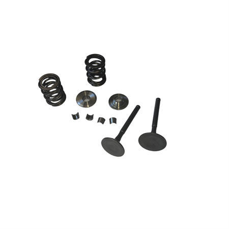 Titanium Retainers Kit with 960 Dual Valve Springs Set and 25/27 5.5mm Stem Valves Set  Fits 212 240CC 263cc Performance High Speed Kart/Minibike Engine