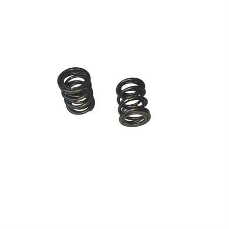 960 Dual Valve Springs (Pair Set) For 212 223 240CC 263 275 280cc Performance High Speed Kart/Minibike Engine