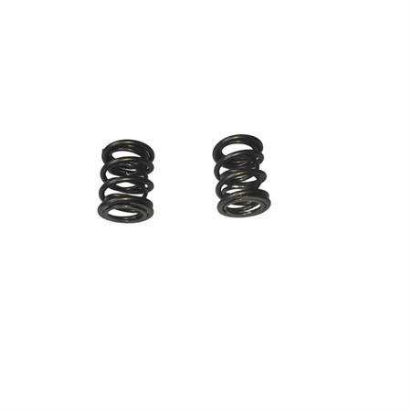 960 Dual Valve Springs (Pair Set) For 212 223 240CC 263 275 280cc Performance High Speed Kart/Minibike Engine