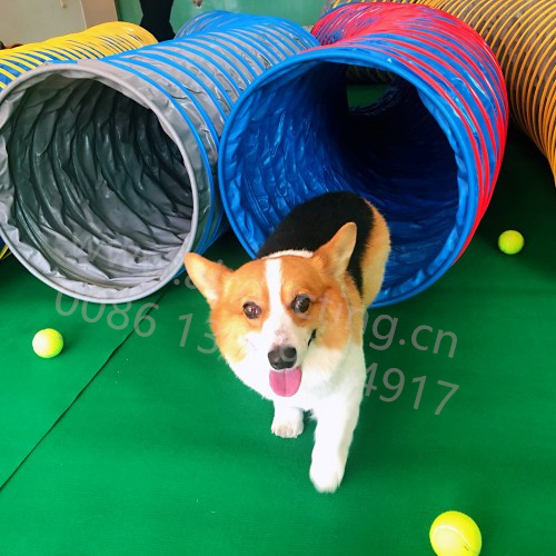 Heavy duty strong pipe tunnel for dogs