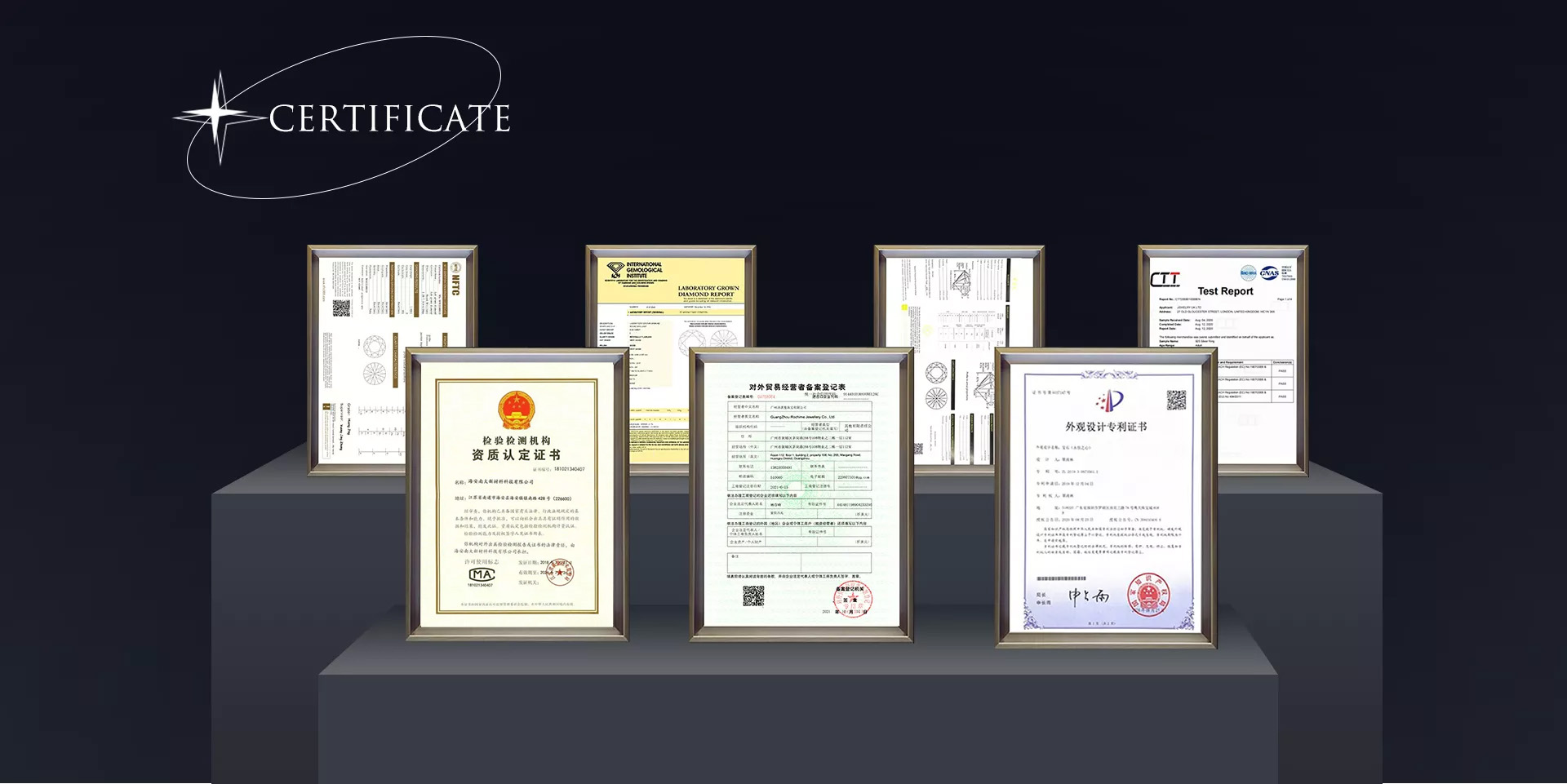 Company Introduction